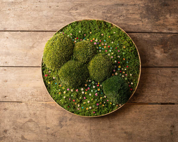 moss art