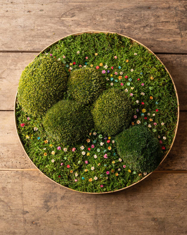 moss art