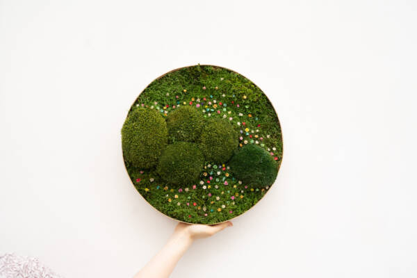 moss art