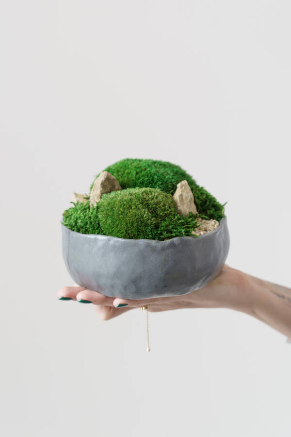 moss art