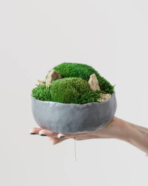 moss art