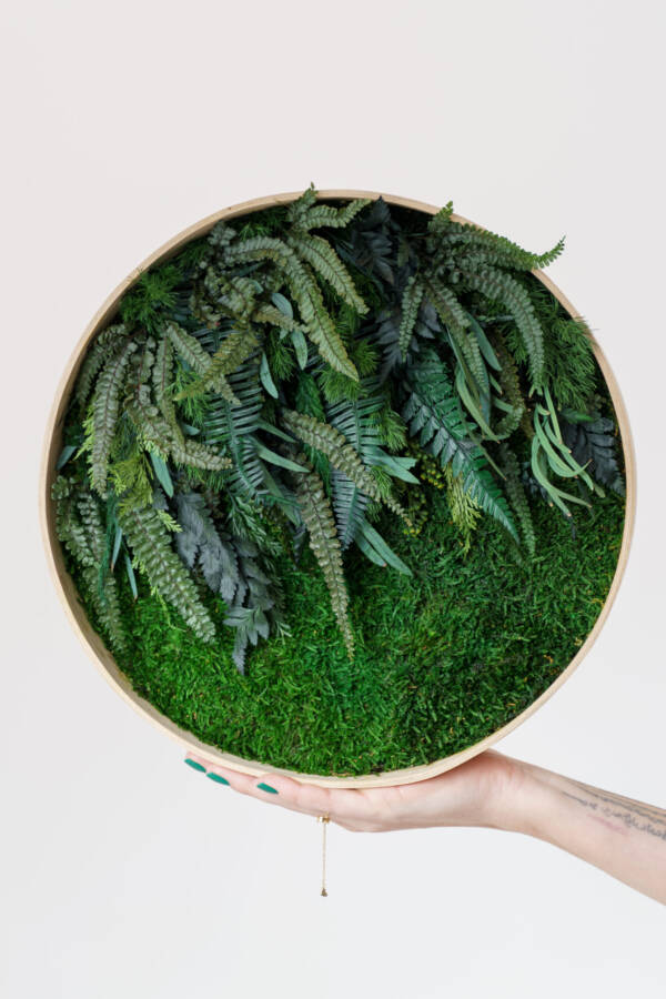 moss art