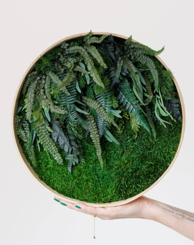 moss art