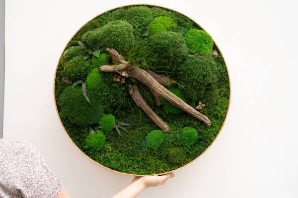 moss art