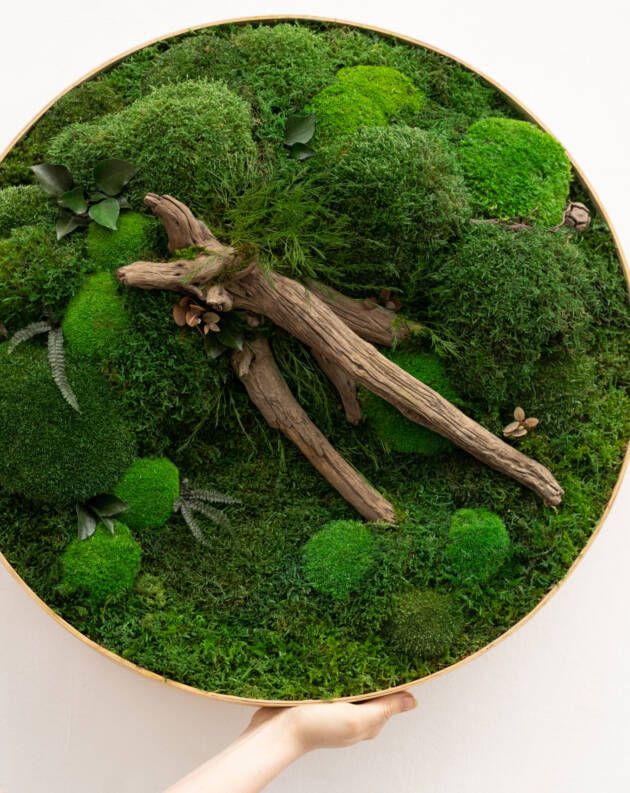 moss art